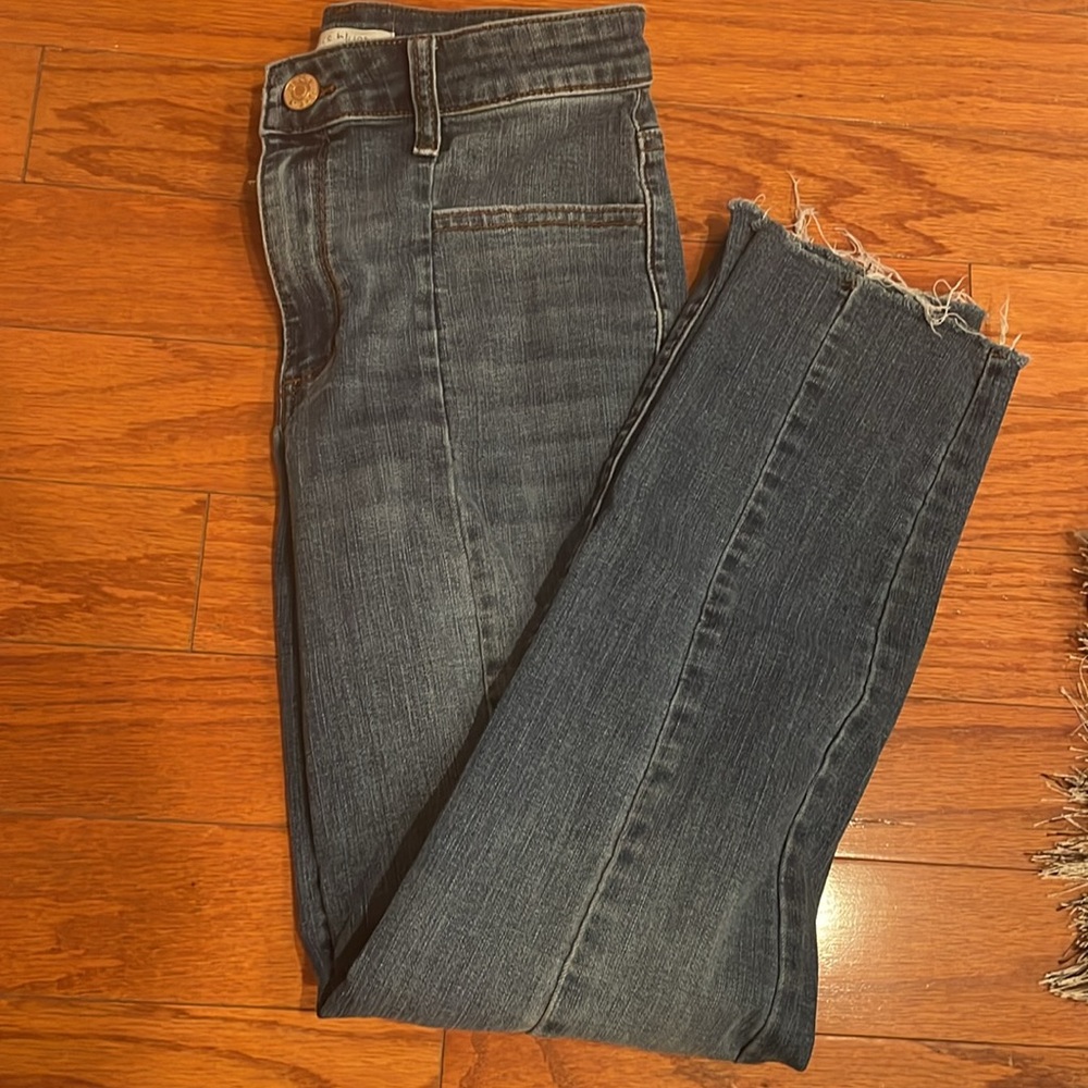 STS Blue Caroline High Rise Straight Leg Raw Hem Princess Seam Jean - size 27 - Picture 5 of 7